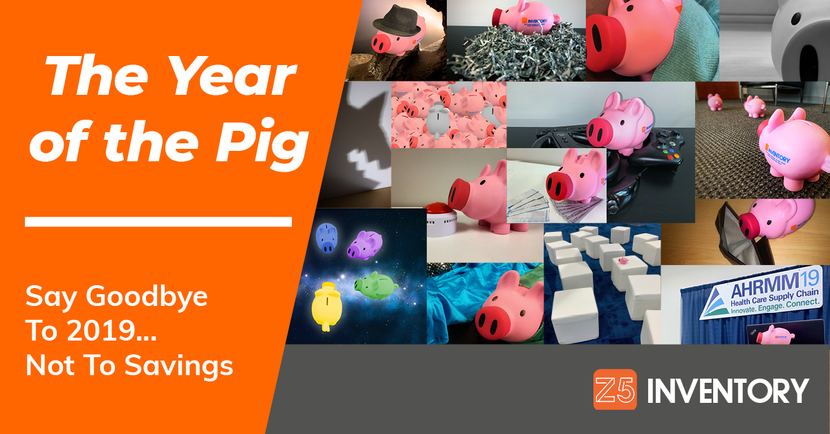 A collage of pig pictures from 2019 to celebrate the wrap-up of the Year of the Pig.