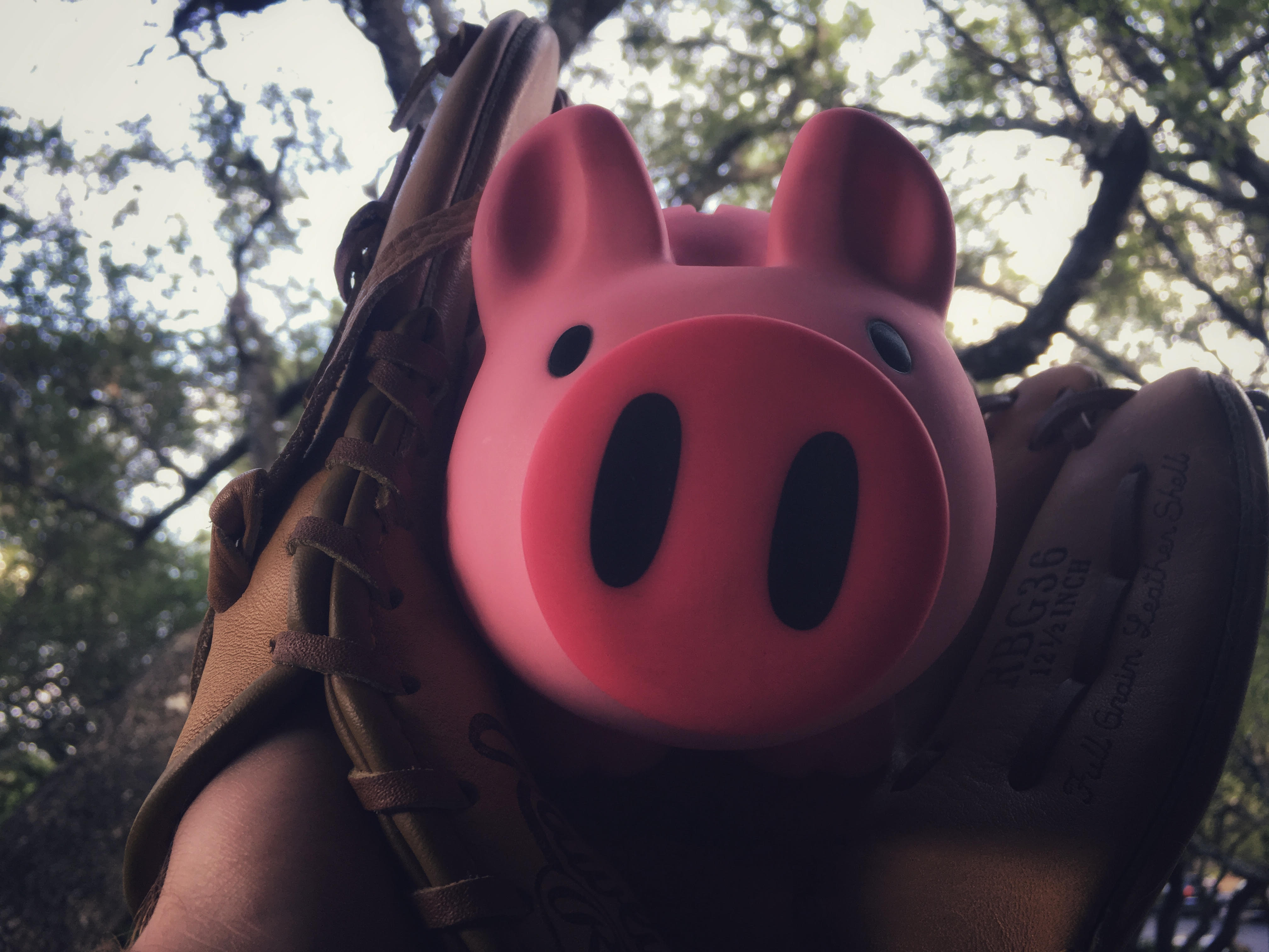 The Z5 piggy bank gets caught in a baseball glove.